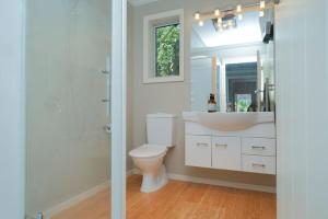 a bathroom with a toilet and a sink and a mirror at Stairway to heaven in Dunedin