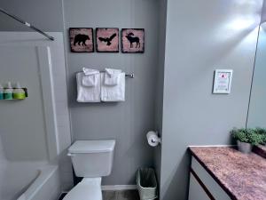 a bathroom with a toilet and towels on the wall at Canadian Rockies Chalets in Canmore