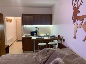 Fotografie z fotogalerie ubytování Bansko Ski To Door Studio De Luxe v destinaci Bansko