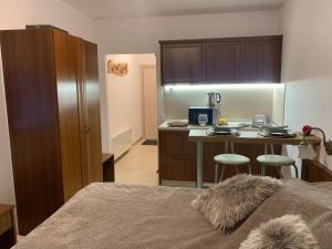 Fotografie z fotogalerie ubytování Bansko Ski To Door Studio De Luxe v destinaci Bansko