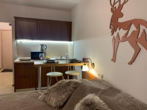 Fotografie z fotogalerie ubytování Bansko Ski To Door Studio De Luxe v destinaci Bansko