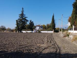 een onverharde weg met een huis en een boom bij CASA RURAL HUERTA DEL MEDIO in Granada