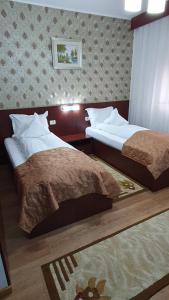 een hotelkamer met 2 bedden in een slaapkamer bij Pensiunea Select in Arad
