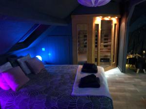 a bedroom with a bed with purple lights on it at PAUSE NATURE SORBAIS Chambre avec SPA, SAUNA, HAMMAM SHOWER, STREAMING et arrivée autonome in Sorbais