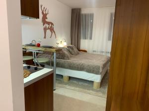 Fotografie z fotogalerie ubytování Bansko Ski To Door Studio De Luxe v destinaci Bansko