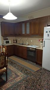 Kuchyň nebo kuchyňský kout v ubytování Panourgia's House
