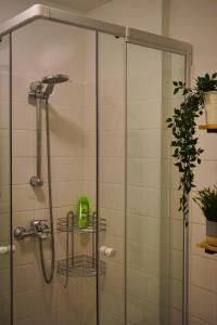 a shower with a glass door with a plant at Rooftop Residence in Vienna