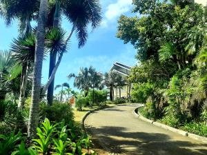 una carretera bordeada de palmeras y un edificio en Unit 306 Alta Vista de Boracay by David en Boracay