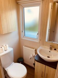 a bathroom with a toilet and a sink and a window at 69 Newquay bay resort Pet friendly in Newquay