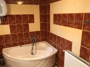 a bathroom with a toilet and a bath tub at Casa Didy in Voineşti +25 photos