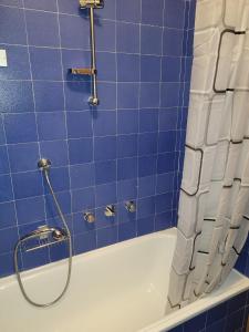 a blue tiled bathroom with a shower and a tub at Appartamenti Delfina in Pescasseroli