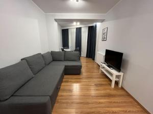 ヴロツワフにあるKomfortowe apartamenty w centrum Wrocławiaのリビングルーム(灰色のソファ、テレビ付)
