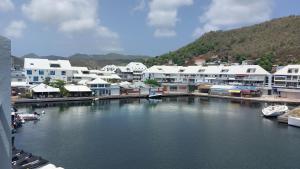 聖馬丁島的住宿－MARINA ROYALE VUE MER，一群建筑物和一条河,里面有船