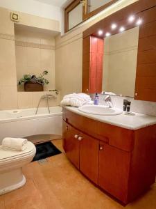 ein Badezimmer mit einem Waschbecken, einem WC und einem Spiegel in der Unterkunft Villa Voulgari in Ioannina