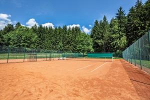 Tenis a/nebo squash v ubytování Hotel SKI nebo okolí
