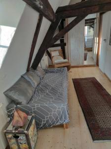 een woonkamer met een bed en een tapijt bij Apartment Hofheimer Altstadt in Hofheim am Taunus