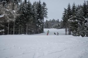 Hotel SKI v zimě