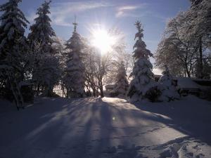 Ferienhaus Harzer Bauernhof kapag winter