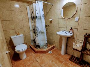 La salle de bains est pourvue de toilettes et d'un lavabo. dans l'établissement Centro RG, à Río Gallegos