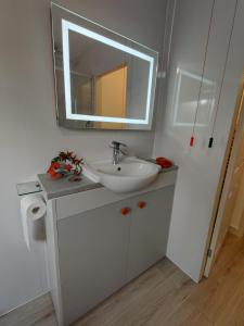 a white bathroom with a sink and a mirror at Owl's Watch in Ruthin