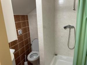 馬丁的住宿－Apartmán KATARINA v Penzióne pod Smrekom，一间带卫生间和淋浴的小浴室