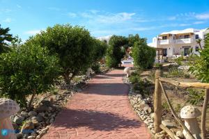 Beach safari nubian resort外面的花园