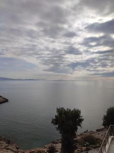 a view of a large body of water at Blue Seaview Suites in Piraeus