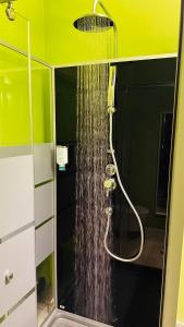 y baño con ducha con cabezal de ducha. en smart&beautiful HOSTEL en Nordkirchen