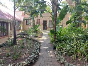a walkway in front of a house with plants at Marula Gardens in Mtubatuba