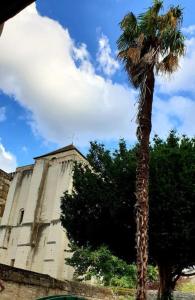 una palmera frente a un edificio en Bienvenue au 8 Bis, en La Roche-Posay