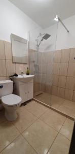 a bathroom with a white toilet and a shower at Casa Rusu - Govandari -Self check in-24h in Reşiţa