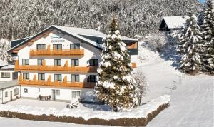 a large building in the snow with a christmas tree at Apartment Bergsee in Lunz am See