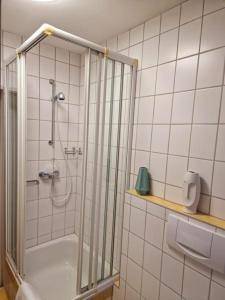 een badkamer met een douche en een glazen deur bij Zum Jakobi 6 in Goslar