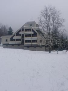 un edificio en un campo cubierto de nieve con un árbol en Hotel ČESKÁ FARMA en Dolni Dvur