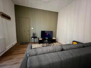 ロアンヌにあるPromenades / 1 Chambre / Neufのソファと薄型テレビのあるリビングルーム