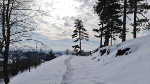 une colline enneigée avec des empreintes de pied dans la neige dans l'établissement Miliceva ruza, à Zlatibor