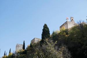 a castle on top of a hill with trees at Amazing Loft! Rooftop Terrace! Alhambra Views! in Granada