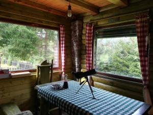 een tafel in een hut met een blauw en wit geruit tafelkleed bij Schwarz Kabin in Neagra