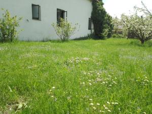 Giardino di chalupa U Hovorků s bazénem - u pískoven Vlkov