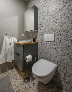 a bathroom with a toilet and a sink at Center Apartments - Esja in Reykjavík