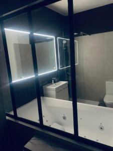 bagno con vasca, servizi igienici e specchio di Sweet Love Room - Jacuzzi Privatif a Montreuil