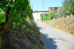 een lege weg met een gebouw op de achtergrond bij Agriturismo Corte Stefani in Capannori