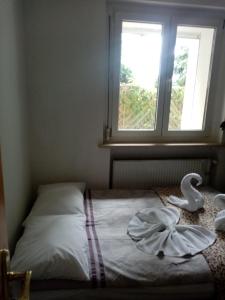 1 cama en un dormitorio con ventana grande en Willa u MARIANE en Przeźmierowo