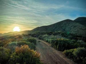 a dirt road with the sun setting in the mountains at Sage Desert Dreams in Las Vegas