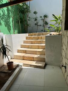 a set of stairs in a room with a potted plant at Pipa Panorama Aparthotel in Pipa