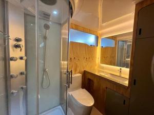 een badkamer met een douche, een toilet en een wastafel bij Green Garden Foz - Casas e Lofts em um Bosque in Foz do Iguaçu