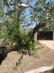 Billede fra billedgalleriet på Filoxenos Estia-Houses i Porto Heli
