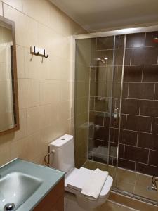 ein Bad mit einer Dusche, einem WC und einem Waschbecken in der Unterkunft Martim Moniz 28 Guest House in Lissabon