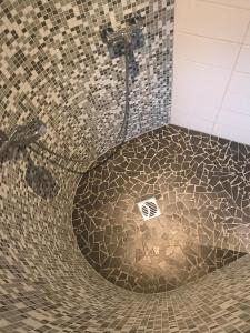 La salle de bains est pourvue d'une douche et d'un sol hexagonal. dans l'établissement Ferienhaus Willmann, à Böhme