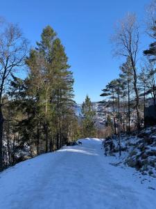 a snow covered path with trees on a hill at Cosy house with sunny terrace, garden and fjord view in Bergen